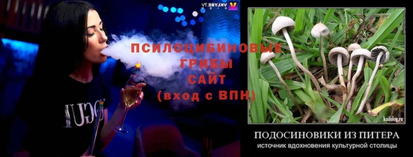 PSILOCYBIN Волоколамск